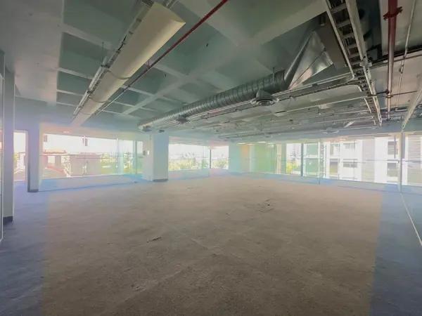 RENTA OFICINA CORPORATIVA EN PALMAS RENTA OFICINA CORPORATIVA EN PALMAS