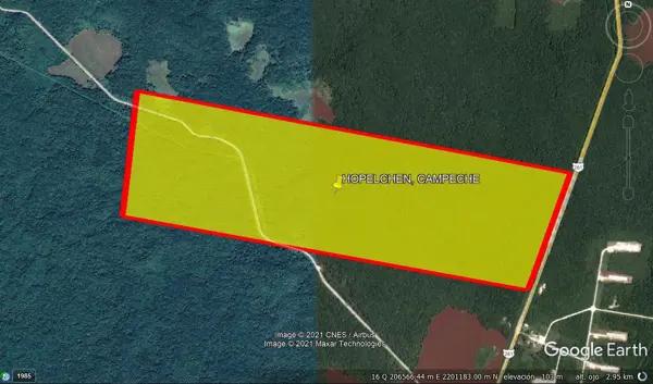 EXCELENTE TERRENO EN VENTA DE 130 HECTAREAS SOBRE CARRETERA FEDERAL EN HOPELCHEN CAMPECHE.