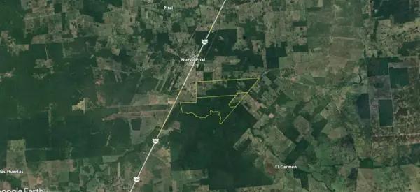 EXCELENTE TERRENO EN VENTA UBICADO EN SAN JOAQUIN CAMPECHE DE 529 HAS