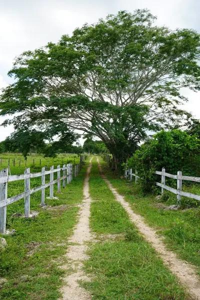 Rancho en Venta en Yucatán, cerca de Buctzotz