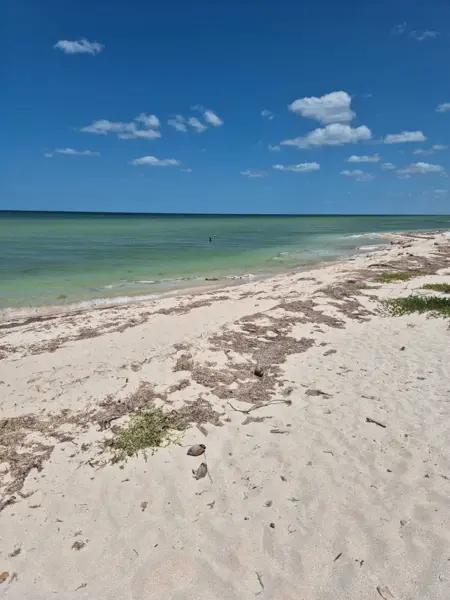 Terreno en Venta en Playa San Benito, Yucatán, frente al mar Terreno en Venta en Playa San Benito, Yucatán, frente al mar
