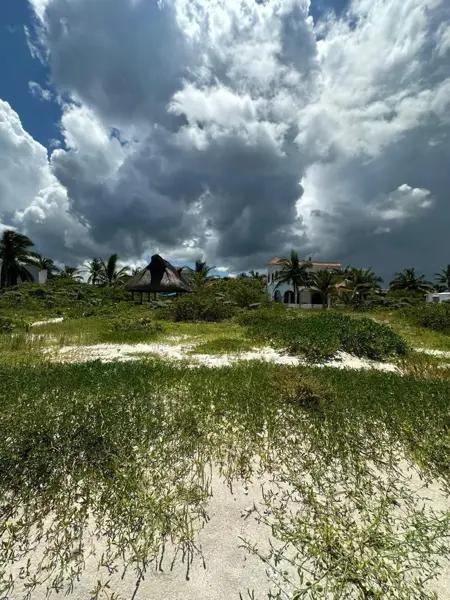 Terreno en Venta en Playa de San Benito frente al mar