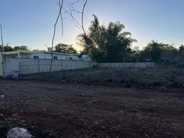TERRENO EN RENTA  en chichi suarez