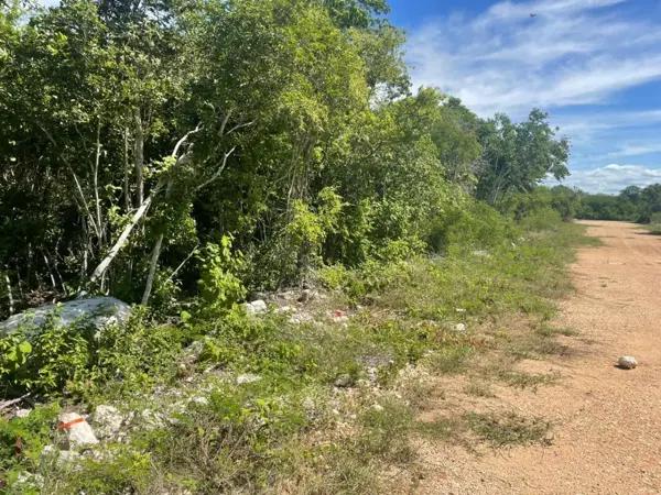 Terreno en Venta en San Ignacio
