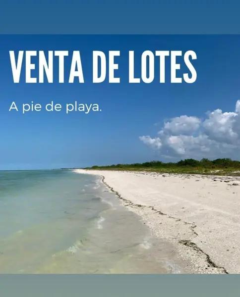 Lotes en Venta Frente al Mar en la Playa de Sisal