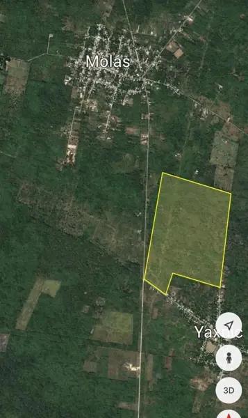 Se venden 86 hetareas en Molas, Merida, Yucatan Se venden 86 hetareas en Molas, Merida, Yucatan