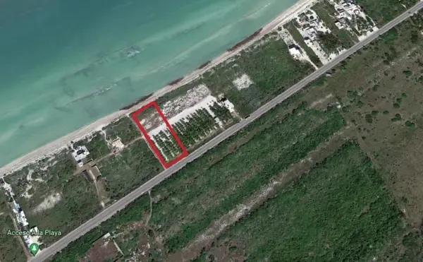 Terreno en Venta en la Playa de Uaymitún, Primera Fila