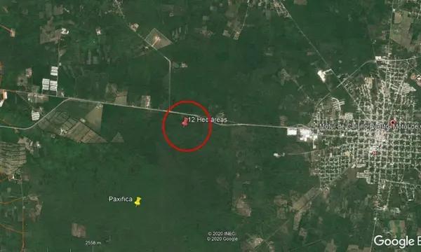 Terreno en Venta de 12 Hectáreas en Motul de Carrillo Puerto