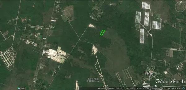 Terreno en Venta en Conkal 2.6 hectareas