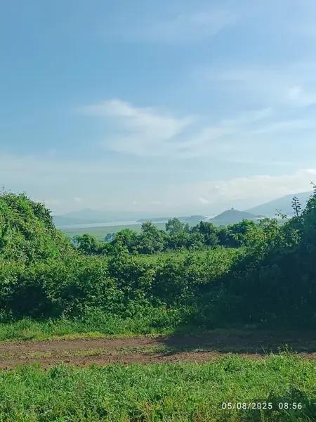 Terrenos en preventa