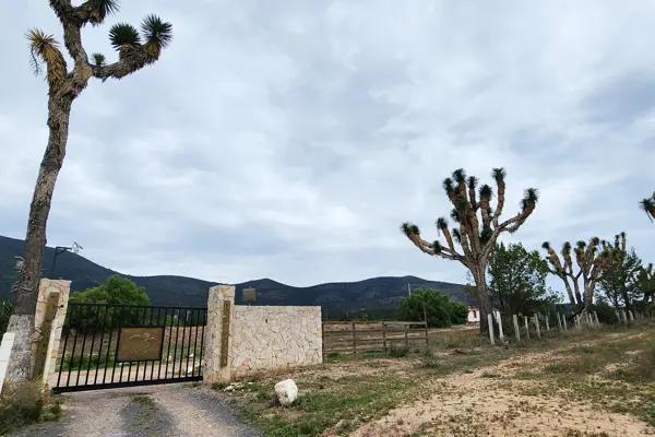 Lotes Campestres en VENTA en Fracc. La Montaña Lotes Campestres en VENTA en Fracc. La Montaña
