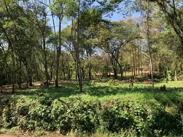 Terreno en San Andrés Tlalnelhuayocan