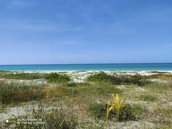 Terreno Residencial en Venta situado en Isla Aguada,  en Campeche.
