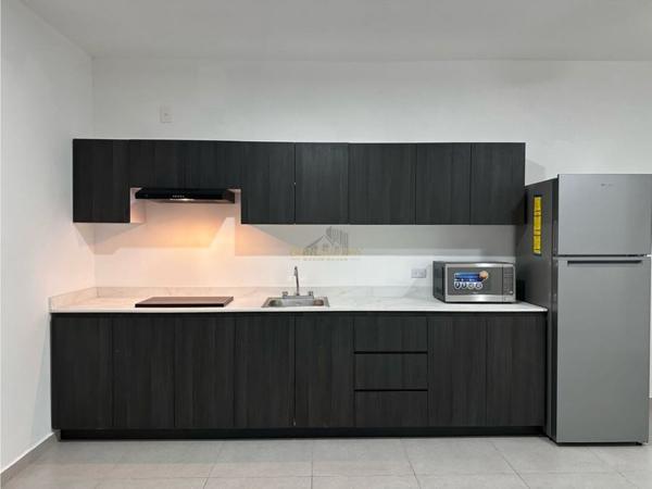Departamento en Renta en  San Nicolas
