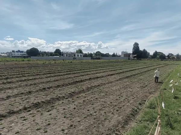Terreno en venta en Santa María Tonantzintla, San Andrés Cholula, Puebla