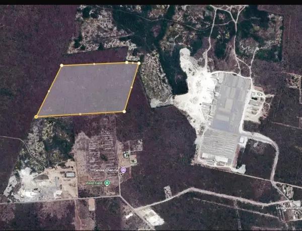 Terreno en venta de 26 ha. en Dzitya, Mérida, Yucatán Terreno en venta de 26 ha. en Dzitya, Mérida, Yucatán
