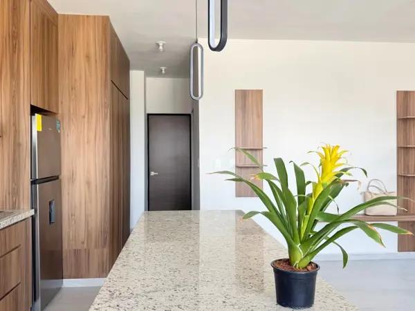 DEPARTAMENTO EN RENTA RAMOS ARIZPE, COAH.
