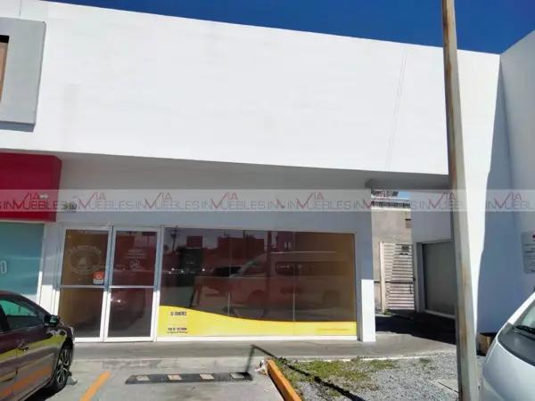 Apodaca Centro