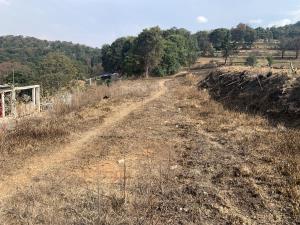 Terreno en venta en Santiago Yancuitlalpan, Huixquilucan, México