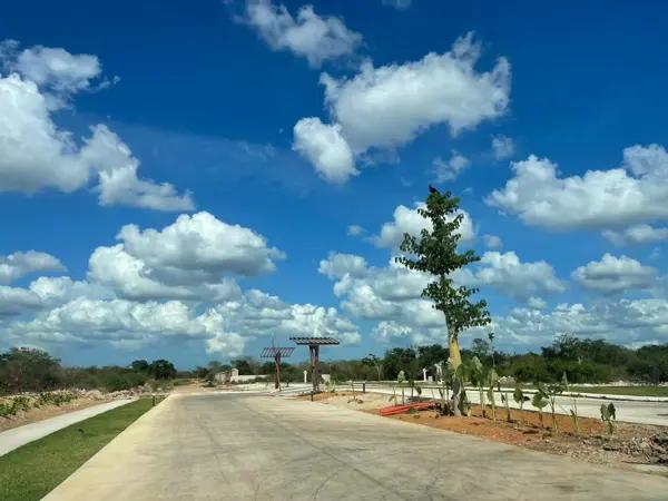 Terreno en venta en  cabo norte merida yucatan