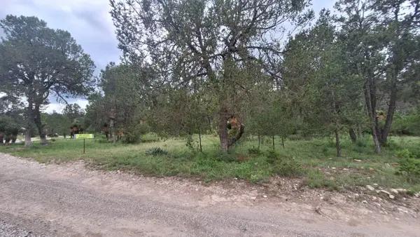 Terreno Campestre en Sierra Escondida, Arteaga, tu Bosque Privado 3,640 m² Terreno Campestre en Sierra Escondida, Arteaga, tu Bosque Privado 3,640 m²