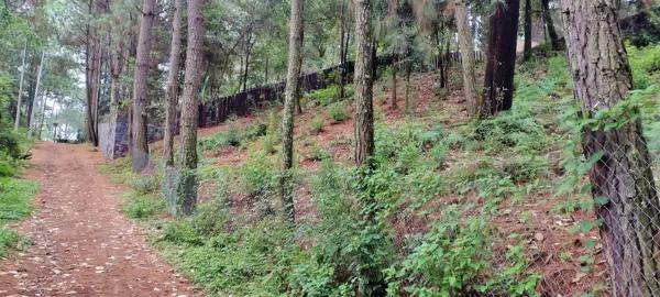 Terreno venta a 10 min de Avandaro
