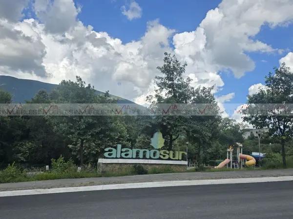 Alamo sur Alamo sur