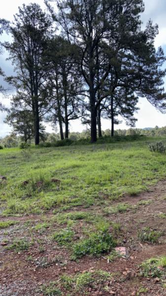 Terreno en venta en Ferreria de Tula, Tapalpa, Jalisco