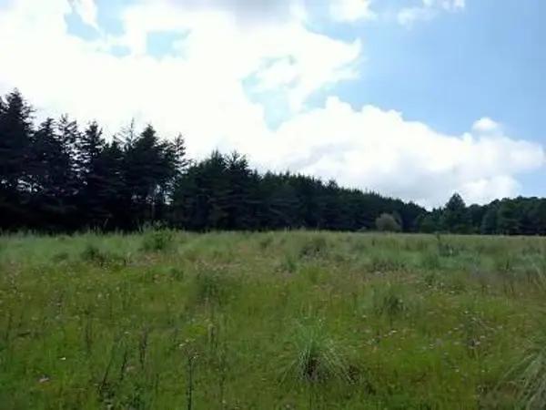 Terreno en Venta | Venta Total o en Lotes