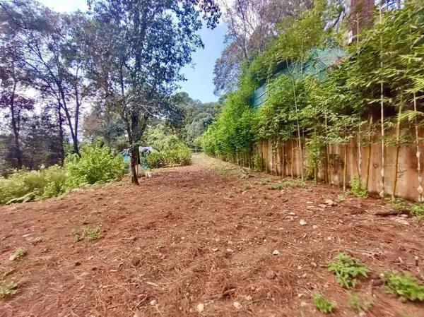 TERRENO EN VENTA, LOS ÁLAMOS