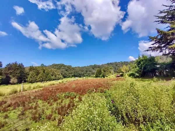 TERRENO EN VENTA, SANTO TOMÁS EL PEDREGAL..