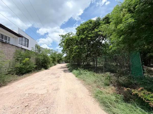TERRENOS EN VENTA EN TAMANCHÉ –  A UN LADO DE ALTOZANO MÉRIDA