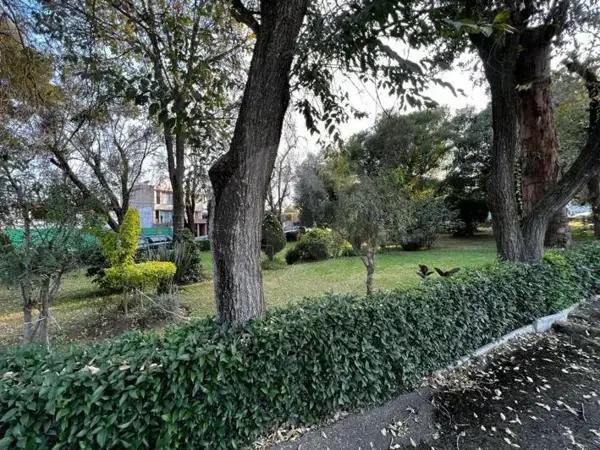 Preciosa casa
Jardines del sur
Xochimilco
