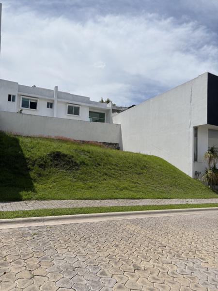Terreno en venta Puebla Lomas  de Angelópolis II Parque Nilo 279 metros