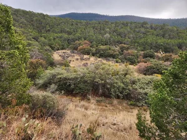 Terreno en Venta en  Cañon  de las Alazanas Arteaga Coahuila