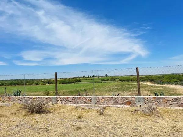 TERRENO EN VENTA | SAN MIGUEL DE ALLENDE, GUANAJUATO