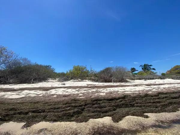 TERRENO EN VENTA FRENTE AL MAR DE CHABIHAU