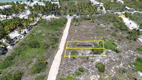 TERRENO EN VENTA DE 290m2 EN SAN BRUNO I DZEMUL