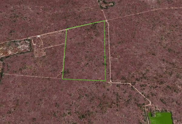 9,3 HECTAREAS EN PARAISO, PROGRESO