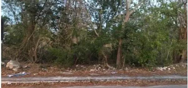 TERRENO EN VENTA EN XCANATUN