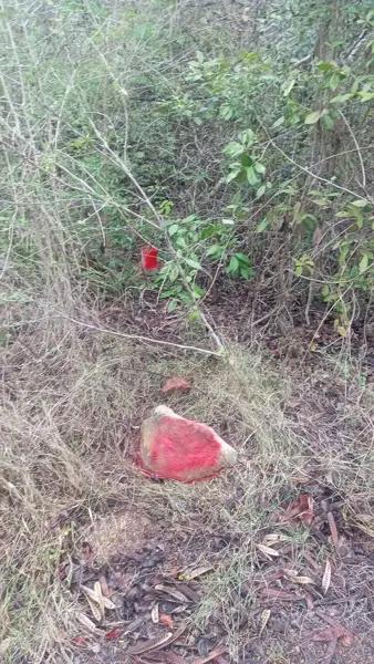 TERRENO EN VENTA EN KIKTEIL TERRENO EN VENTA EN KIKTEIL