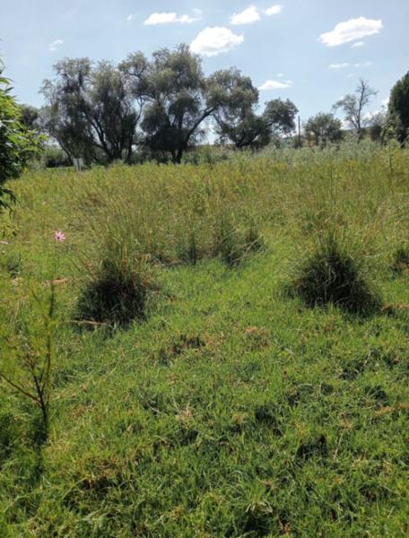 Terreno VENTA en San Lorenzo Almecatla sobre carretera frente fraccionamiento