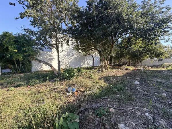 LOTE EN VENTA UBICADO EN PRIVADA EN CHOLUL I 370M2 LOTE EN VENTA UBICADO EN PRIVADA EN CHOLUL I 370M2