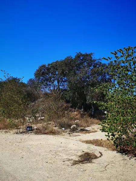 TERRENO EN VENTA UBICADO EN REAL MONTEJO