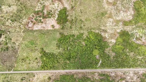 VENTA DE HECTAREAS EN EUAN YUCATÁN