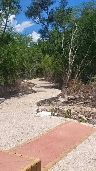 VENTA DE LOTES COMERCIALES EN SAN CRISANTO YUCATÁN