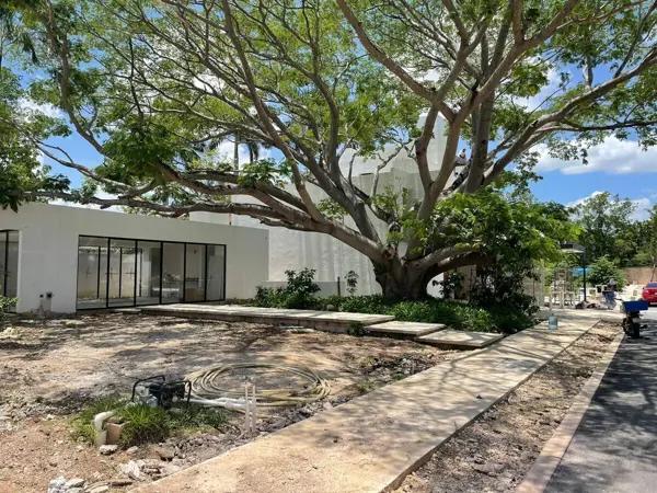 Venta casa en Barrio Chuburna