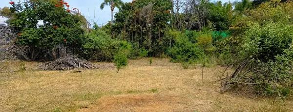 Terreno en Reforma | Excelente Oportunidad de Inversión en una de las Zonas con Mayor Plusvalía Terreno en Reforma | Excelente Oportunidad de Inversión en una de las Zonas con Mayor Plusvalía