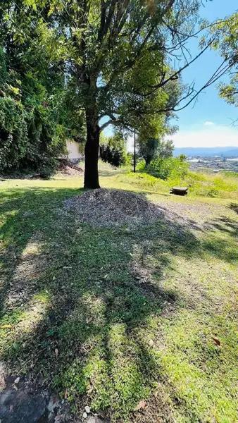 Terreno en Fraccionamiento Los Limoneros | Exclusividad, Seguridad y Naturaleza