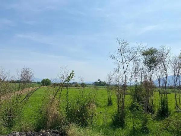 TERRENO EN JOJUTLA CENTRO
